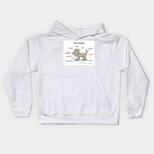 the Interpet Kids Hoodie